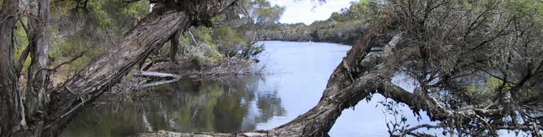 Scott River
